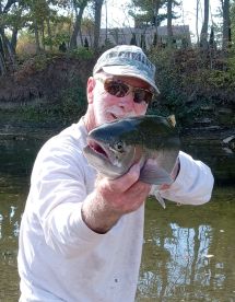 Getting A Feel For Steel