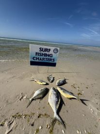 Fall 2025 is looking fishy! 