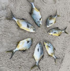 Pompano time! 