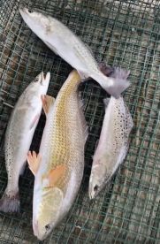 Mid-October Fishing Report