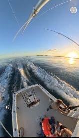 Finally a Bermudaful day!