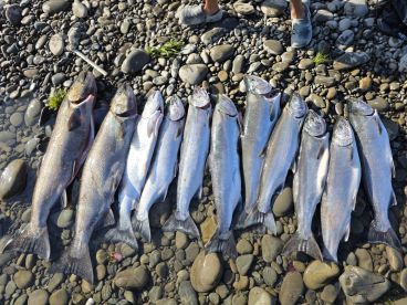 Olympic Peninsula Report Photo 2