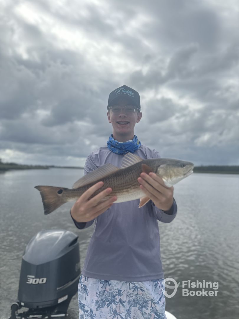 Mount Pleasant Report Photo 0