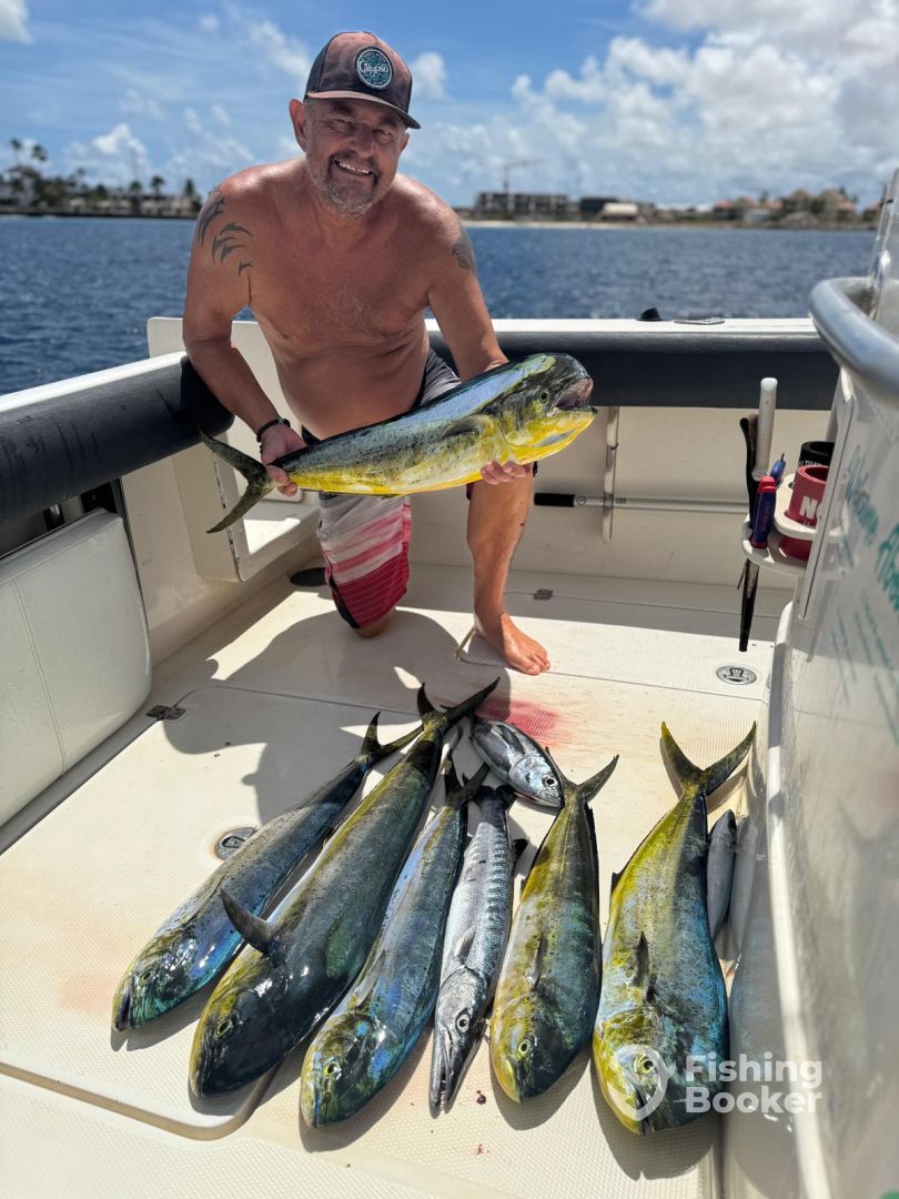 Mahi Mahi