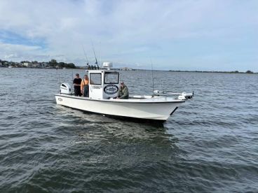 New York City Report Photo 2