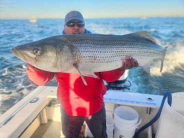 New York City Report Photo 1