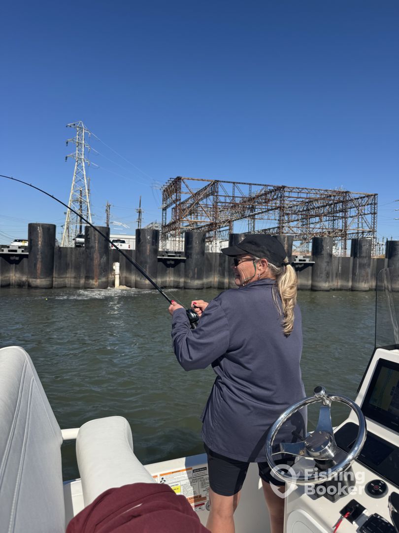 Port Arthur Report Photo 0