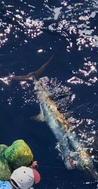 La Paz Report Photo 2