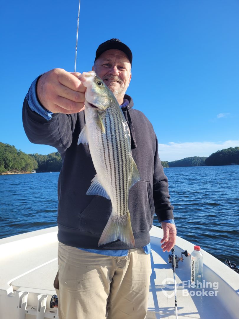 Gainesville Report Photo 0