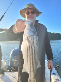 Gainesville Report Photo 1