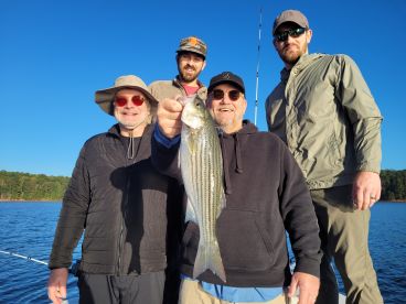 Gainesville Report Photo 2