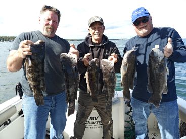 The Tautog bite is on!