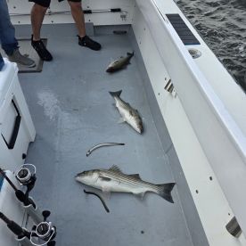 Dundalk Report Photo 1