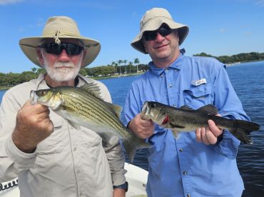 Delray Beach Report Photo 2