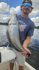 Delray Beach Report Photo 1