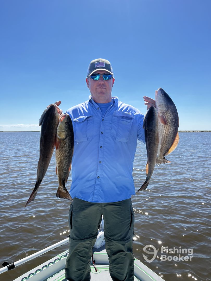 St. Bernard Report Photo 0