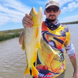 Buenos Aires, Argentina
Big golden dorad