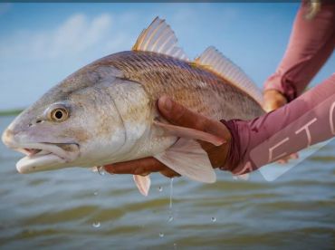 Tight lines and happy customers.