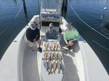 Reef fish -shark watching 