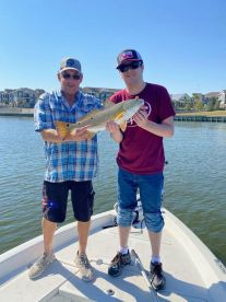 The water is cooling down and the Redfis