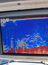 OCTOBER 12 , 2025 water 65- 68 degrees G