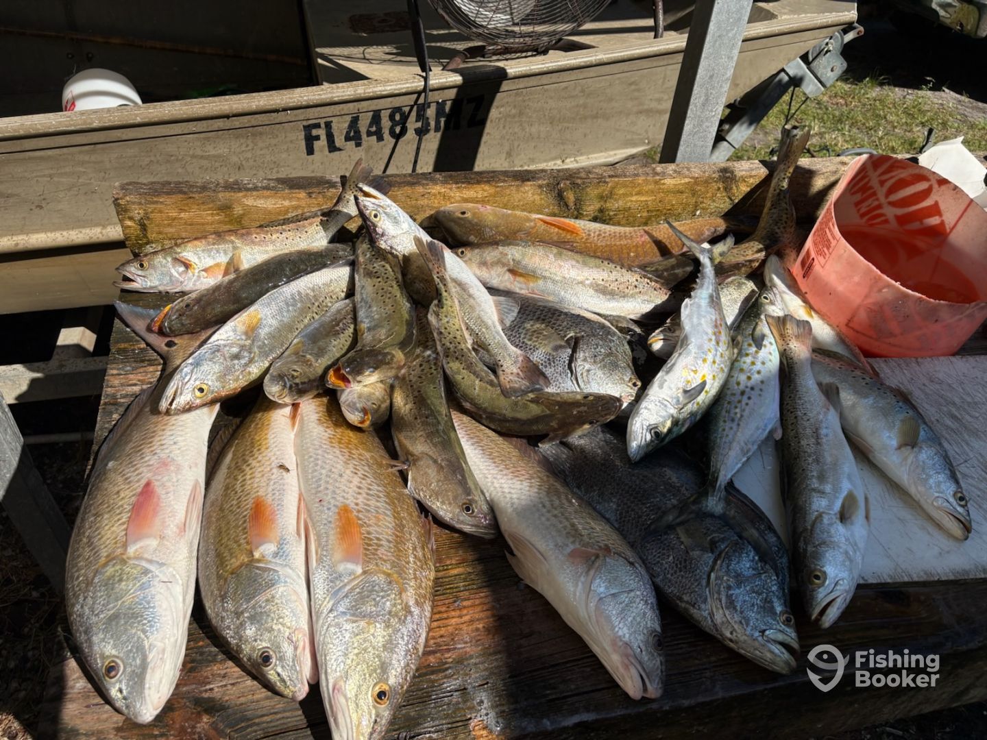 Apalachicola Bay Report Photo 0