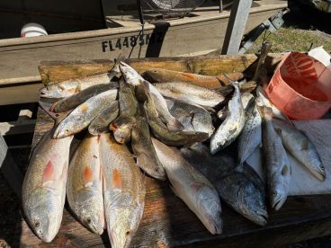 Red fishing and speckled trout !!!   