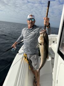 Big Dawgs out today!