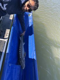 Lower Mainland Report Photo 2