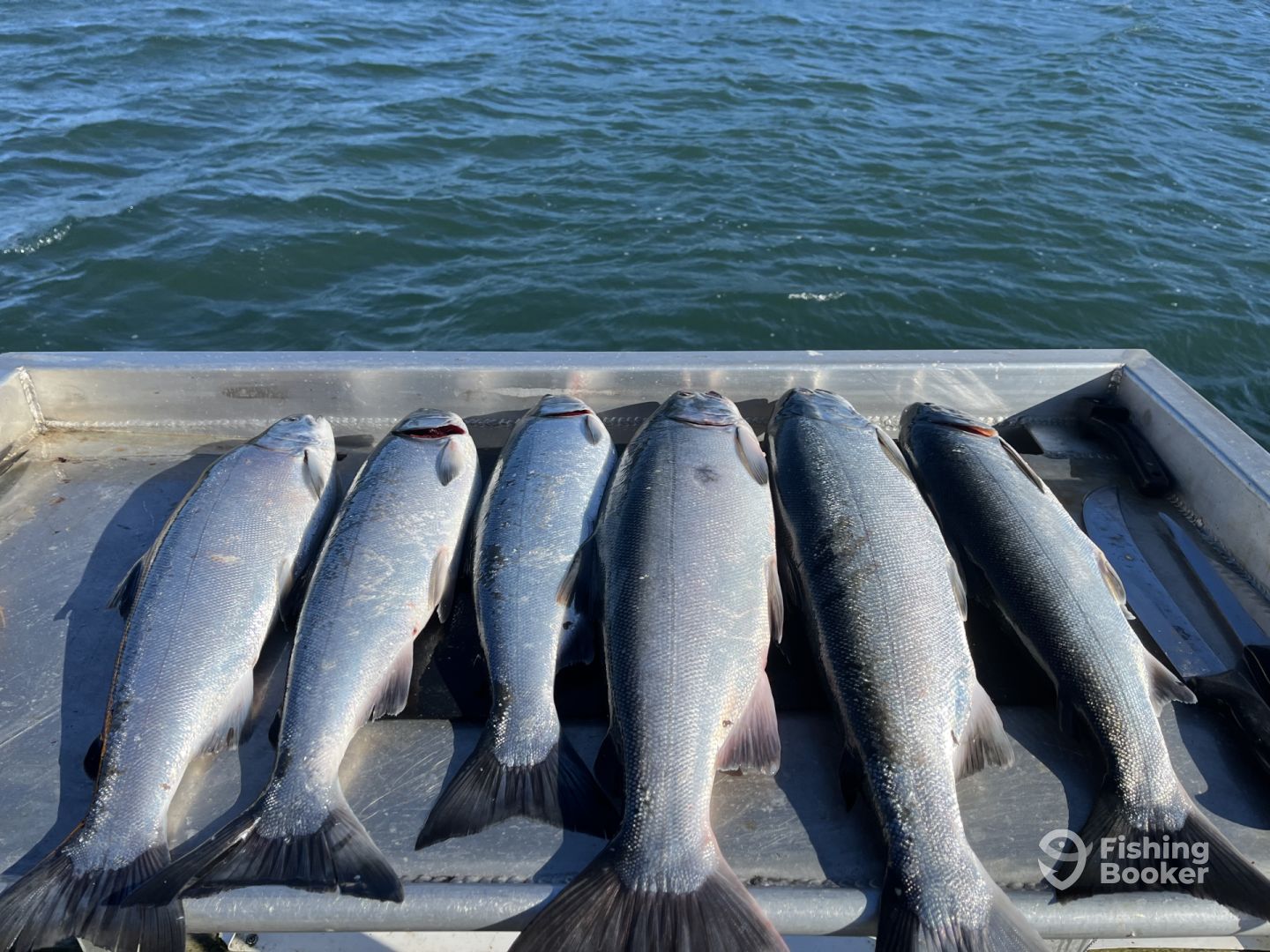 Sooke Report Photo 0