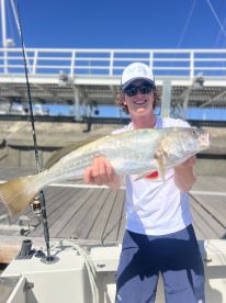 Lisbon Report Photo 4