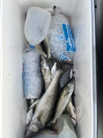 Walleye fishing is picking back up with 