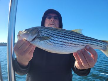 Catching Some Good Ones