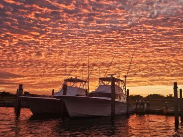 Some nice pictures of our boat customers