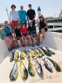 Mahi Mahi Magic – Color, Speed, and Acti