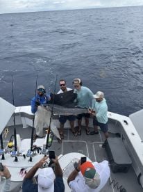 Tis the season for the pelagics 