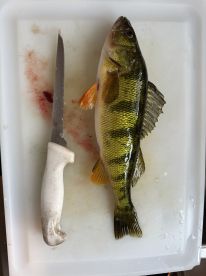 Inland Lakes hesting up(while cooling do