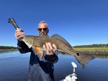 Inshore Redfish