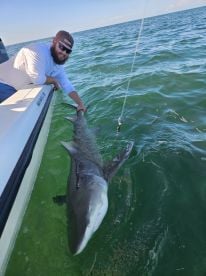 Awesome shark fishing 