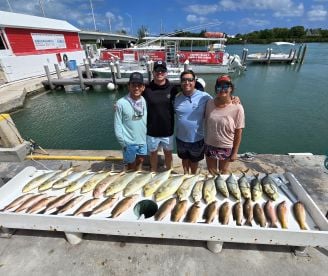 Fun action packed morning ?