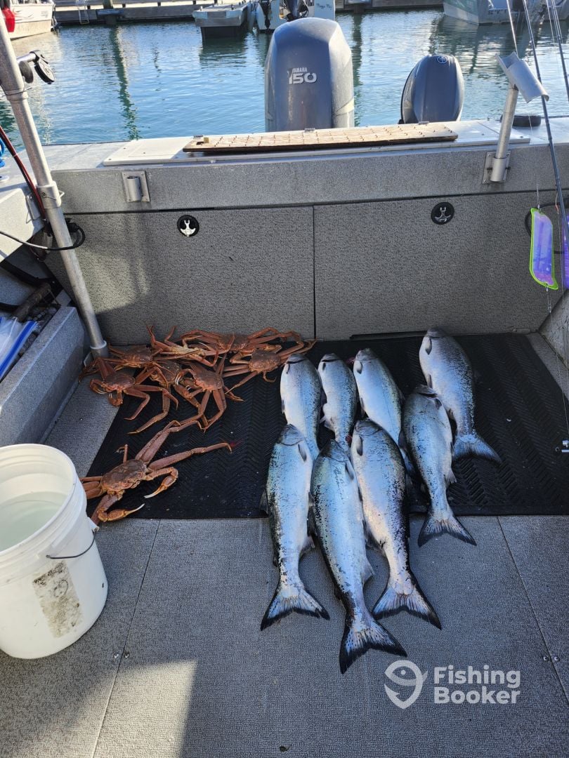 Kachemak Bay Report Photo 0