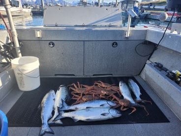 Kachemak Bay Report Photo 1