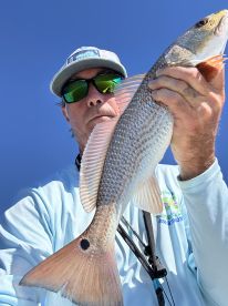 Panacea Report Photo 1