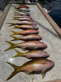 Wednesday, October 15, 2024