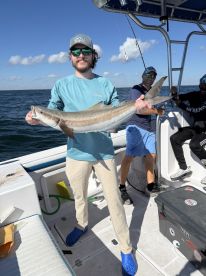 The cobia are here!