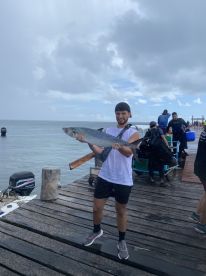 Puerto Morelos Report Photo 1