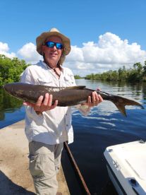Cobia for dinner 