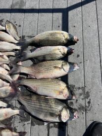 Oologah Report Photo 3