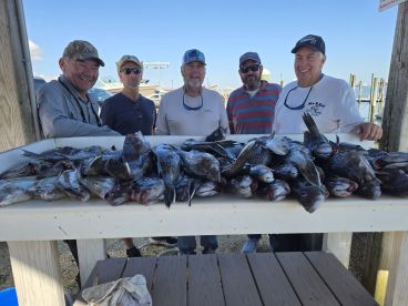 Cape May County Report Photo 1