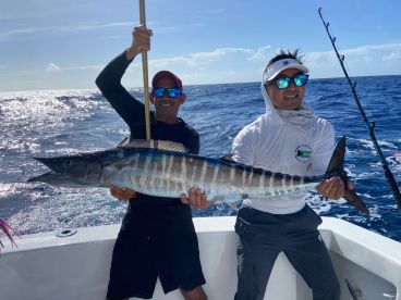 Mahi and wahoo